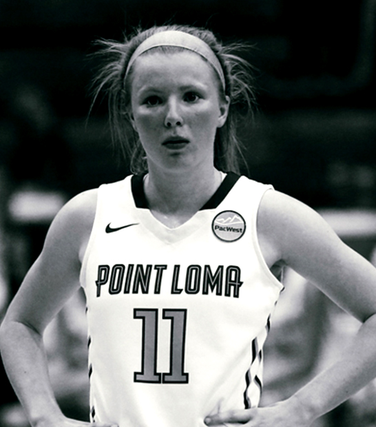 Point Loma Sea Lions